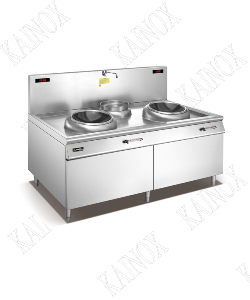 DOUBLE INDUCTION STOVE WITH 1 POT