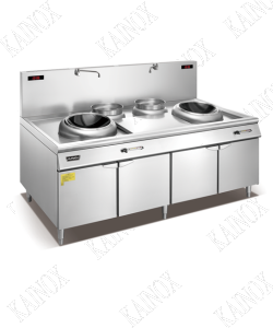 DOUBLE INDUCTION STOVE WITH TWO POT