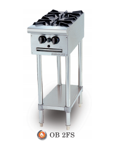 GAS 2 BURNER
